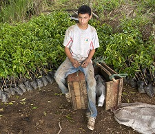 Coffee Grower in Ecuador (Diego Cupolo)